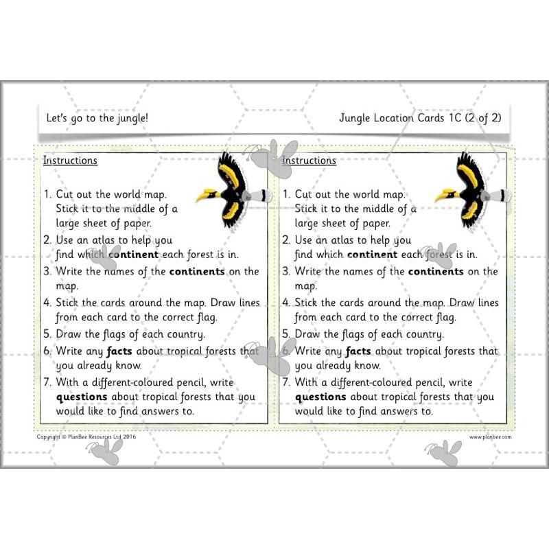 Let's go to the jungle - Image 30