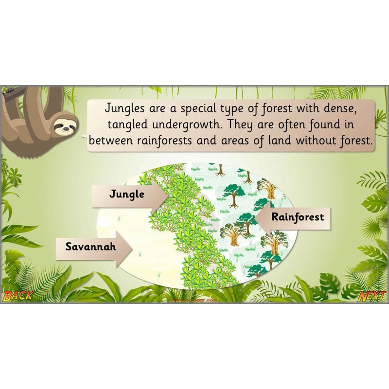 Let's go to the jungle - Image 33
