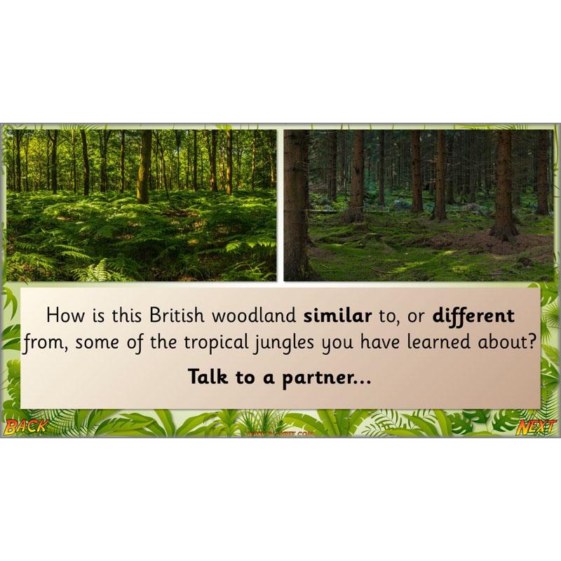 Let's go to the jungle - Image 60