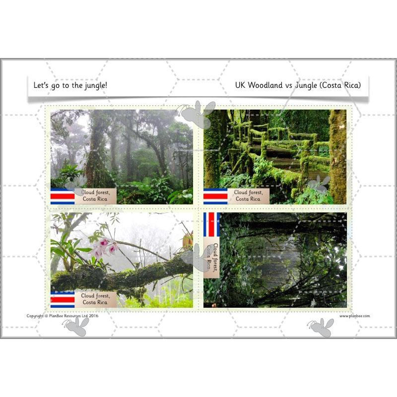 Let's go to the jungle - Image 62
