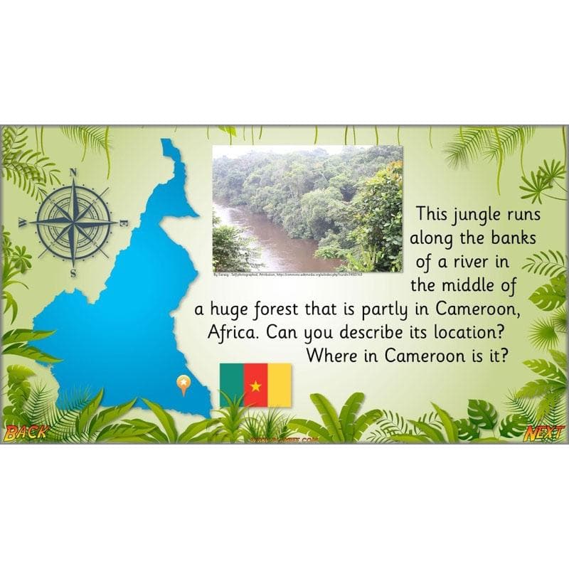 Let's go to the jungle - Image 7