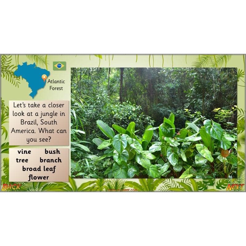 Let's go to the jungle - Image 8