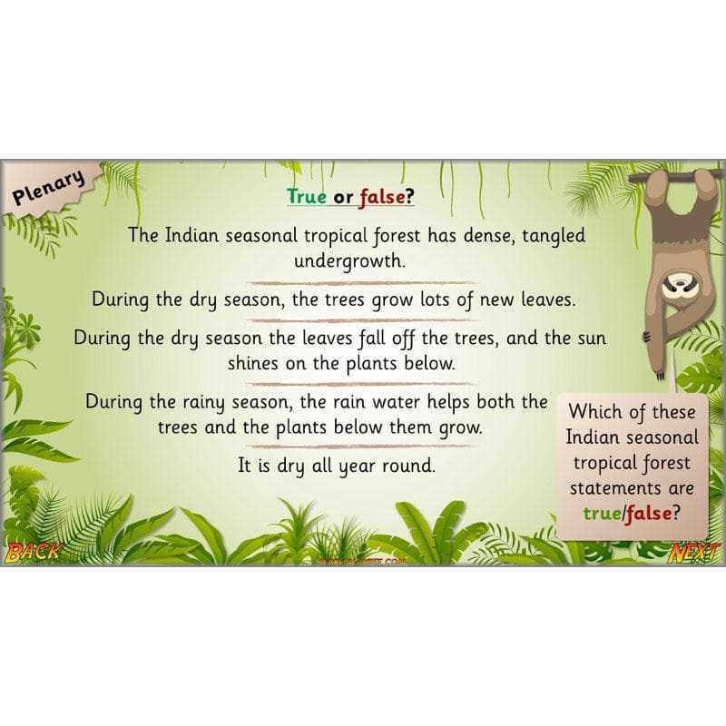 Let's go to the jungle - Image 9