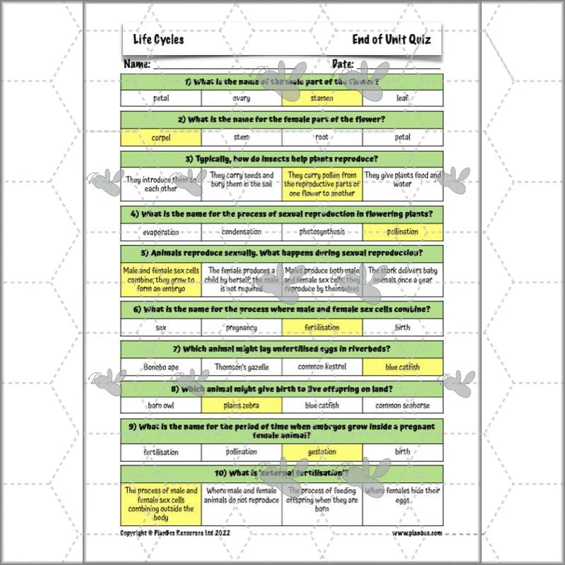 Life Cycles KS2 - Image 16