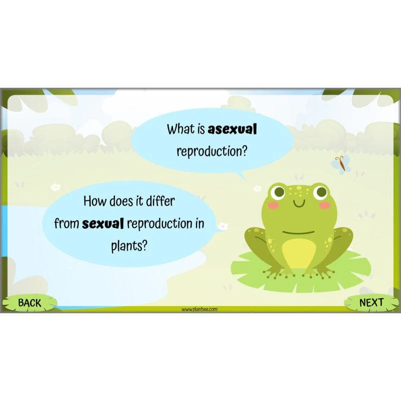 Life Cycles KS2 - Image 28