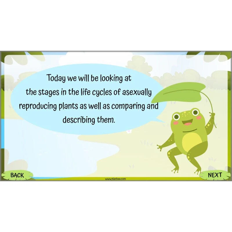 Life Cycles KS2 - Image 31
