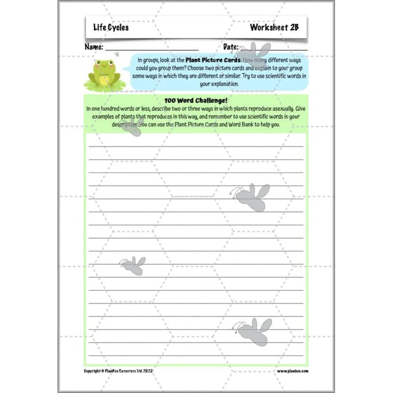 Life Cycles KS2 - Image 32