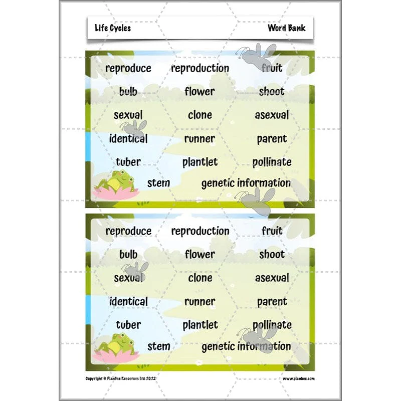 Life Cycles KS2 - Image 33