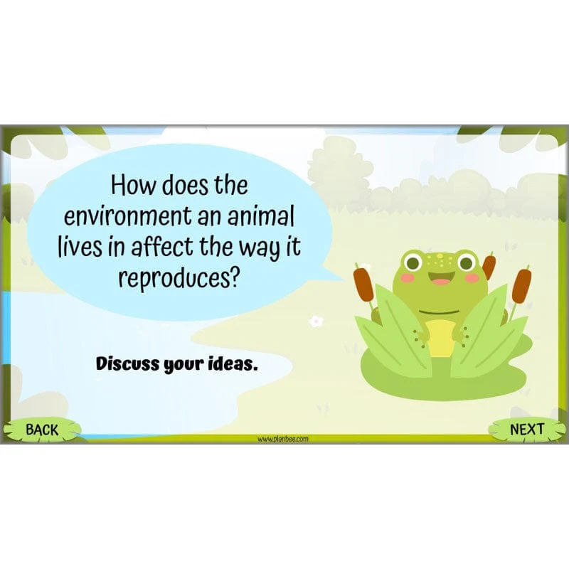 Life Cycles KS2 - Image 37