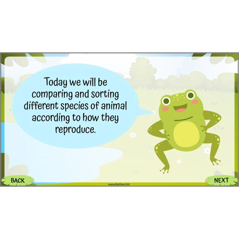 Life Cycles KS2 - Image 39