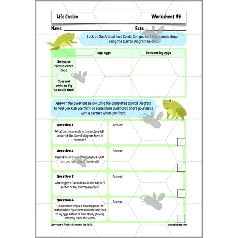 Life Cycles KS2 - Image 40