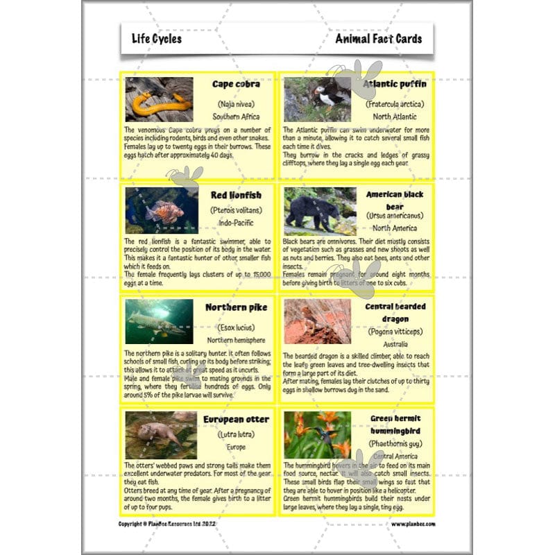 Life Cycles KS2 - Image 41