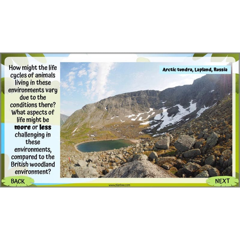 Life Cycles KS2 - Image 47