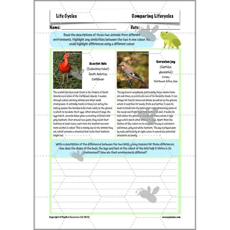 Life Cycles KS2 - Image 49