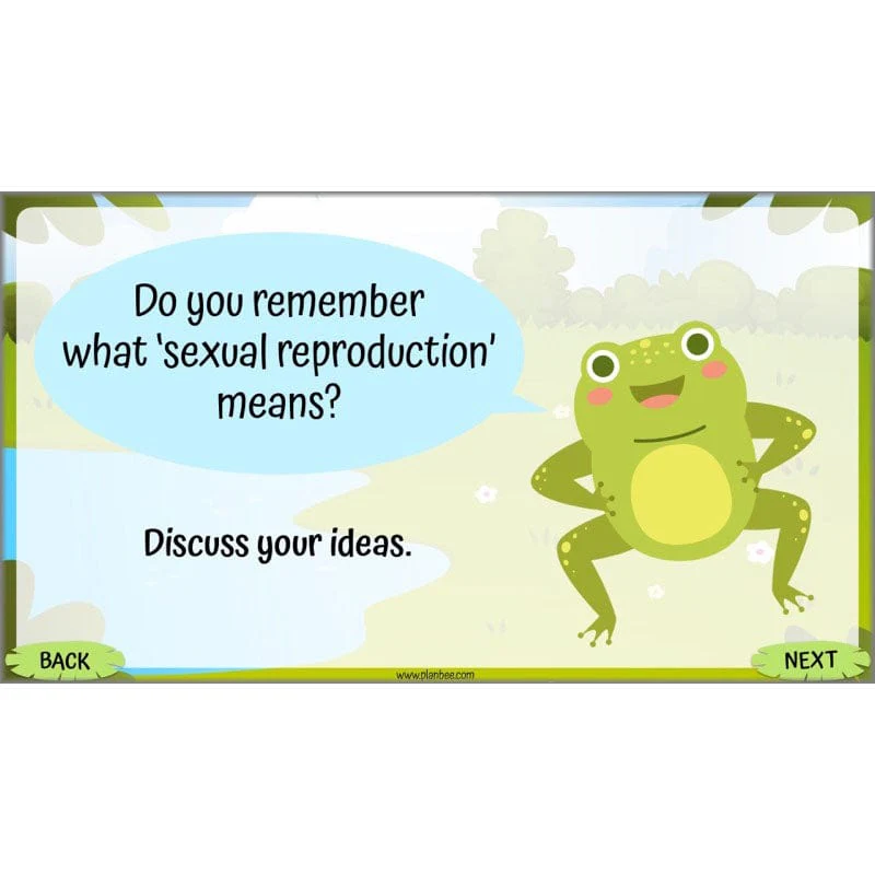 Life Cycles KS2 - Image 5