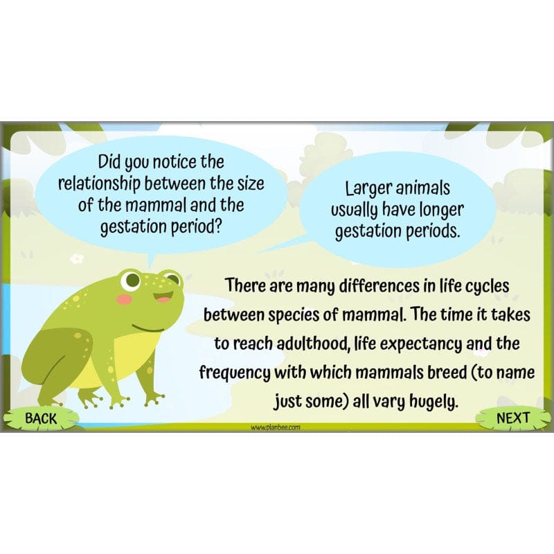 Life Cycles KS2 - Image 51