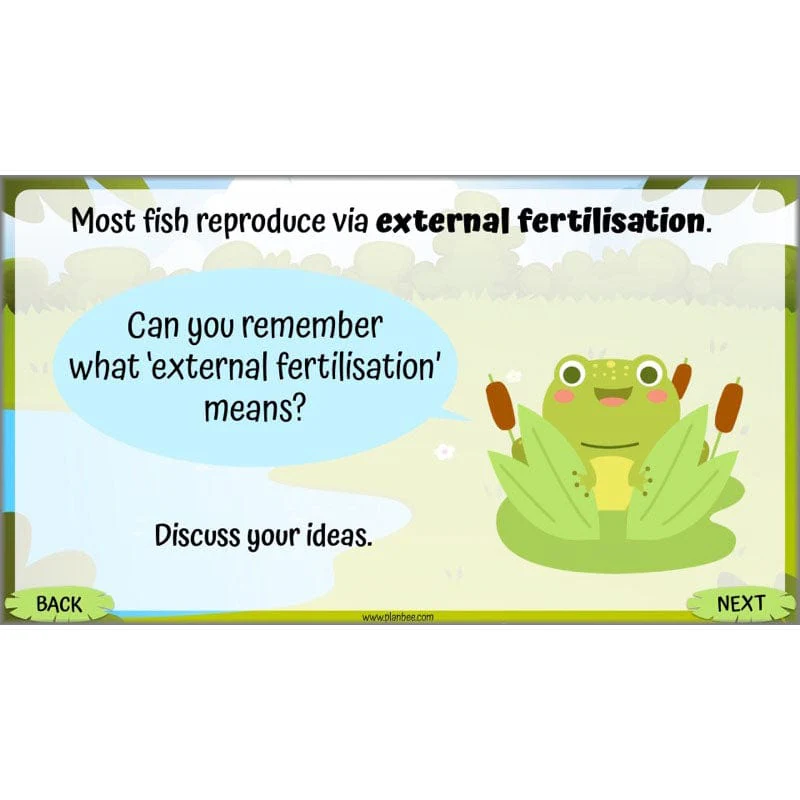 Life Cycles KS2 - Image 53