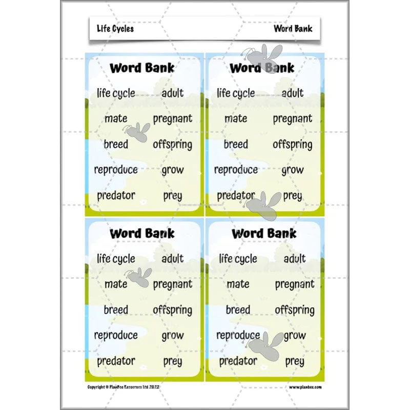 Life Cycles KS2 - Image 55