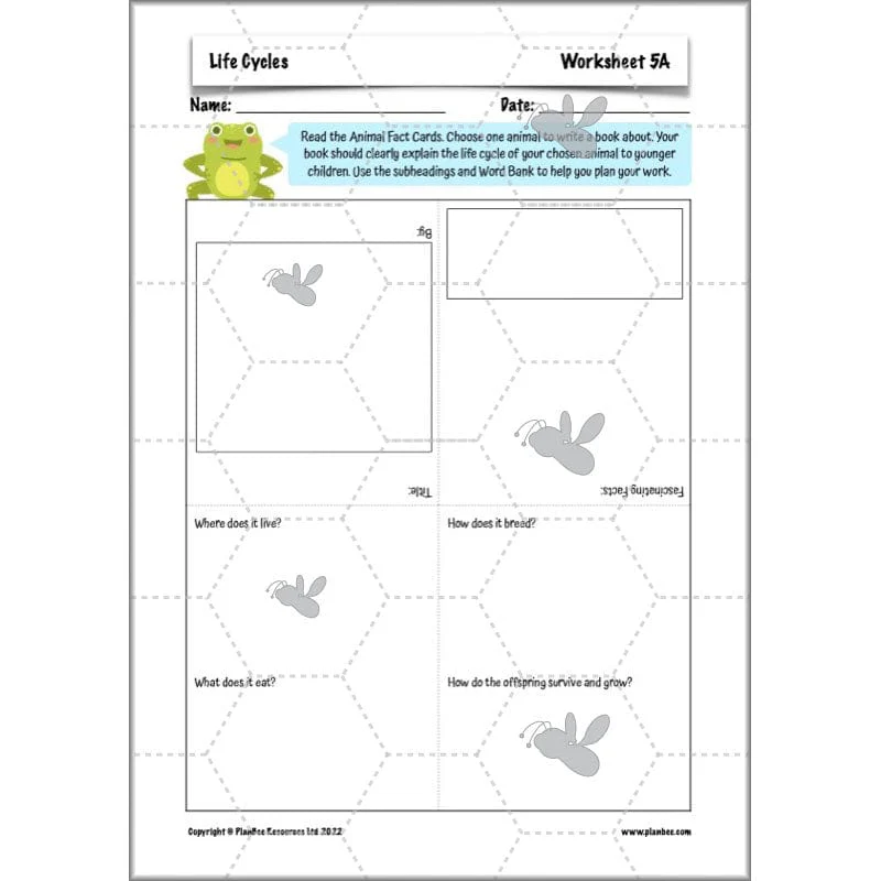 Life Cycles KS2 - Image 56