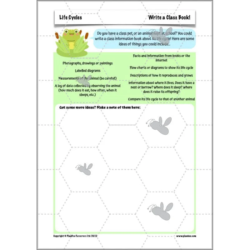 Life Cycles KS2 - Image 57