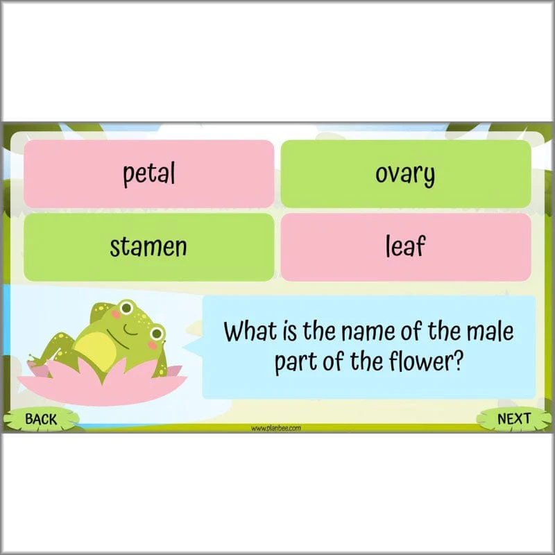 Life Cycles KS2 - Image 62