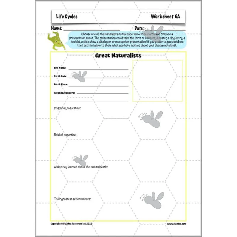 Life Cycles KS2 - Image 65