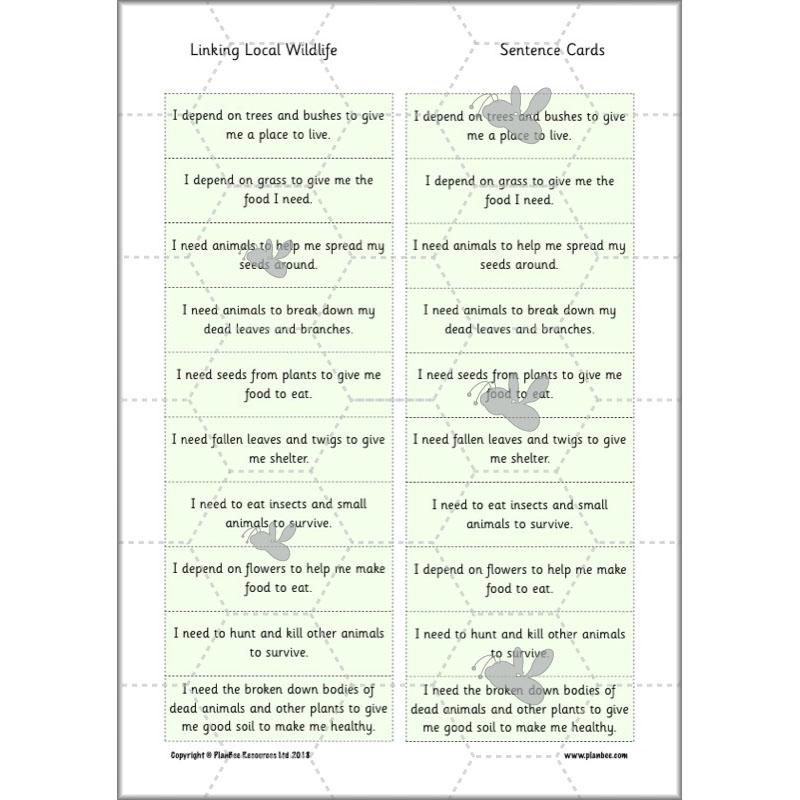 Linking Local Wildlife - Image 13