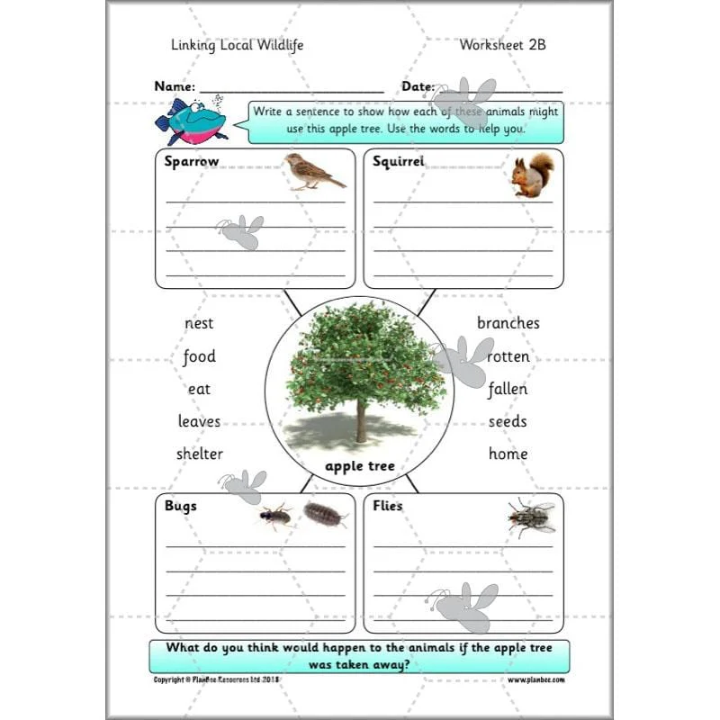 Linking Local Wildlife - Image 29