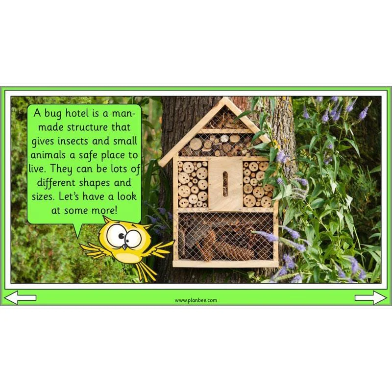 Linking Local Wildlife - Image 33