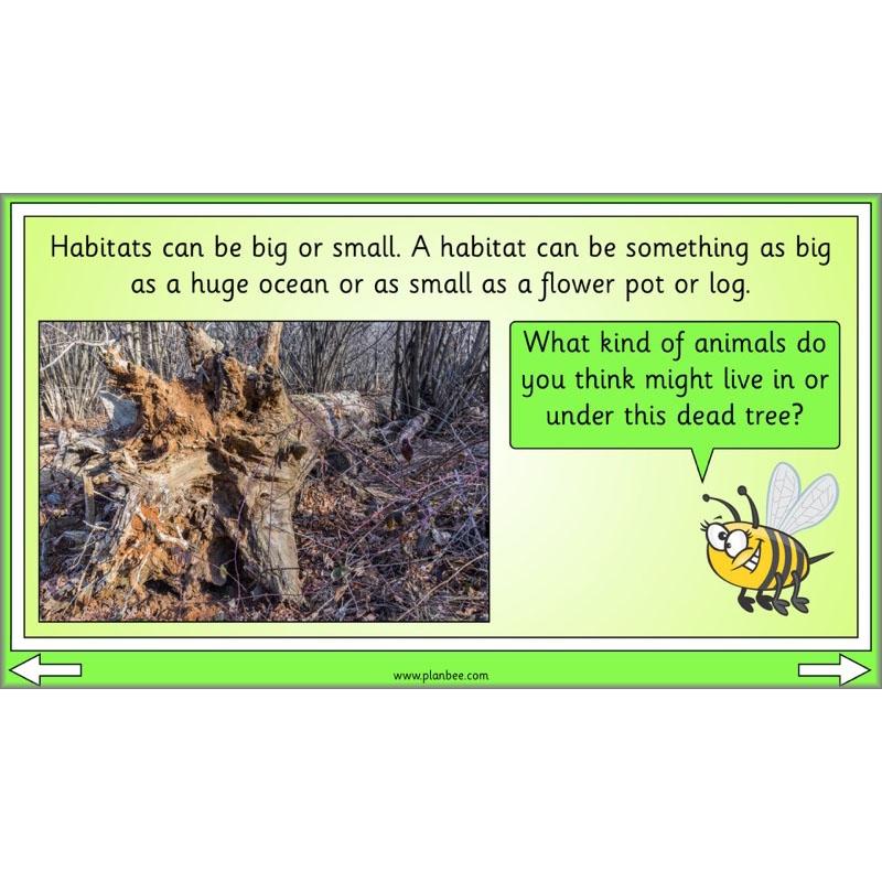 Linking Local Wildlife - Image 6