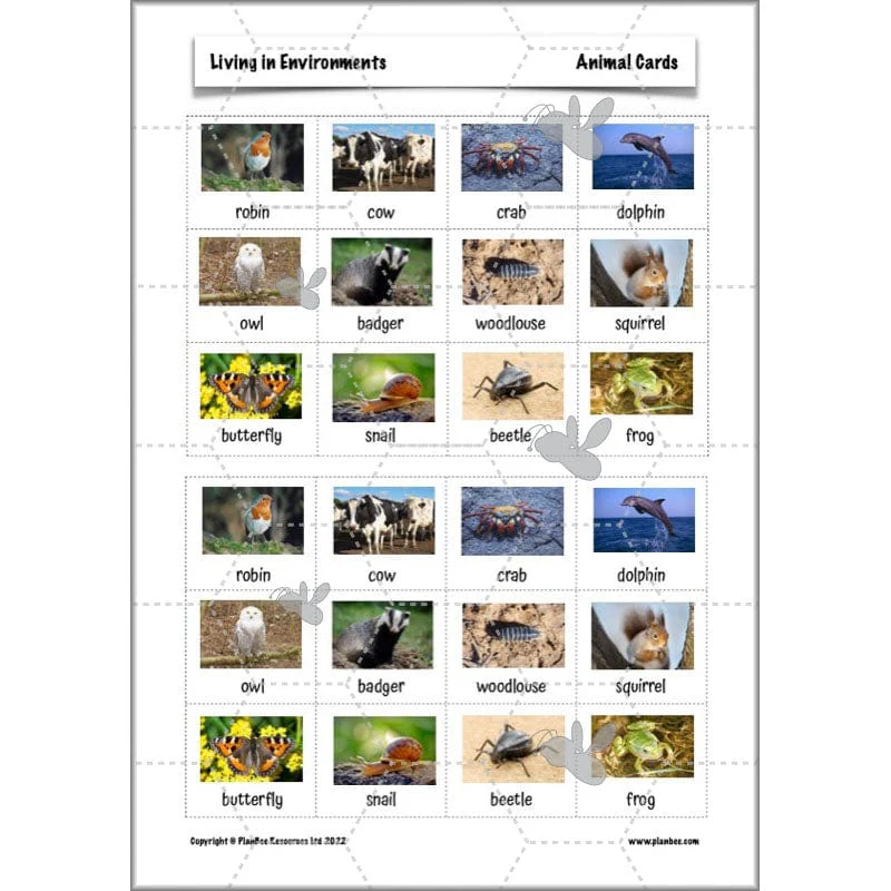 Living in Environments - Image 11