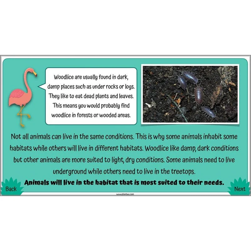 Living in Environments - Image 22