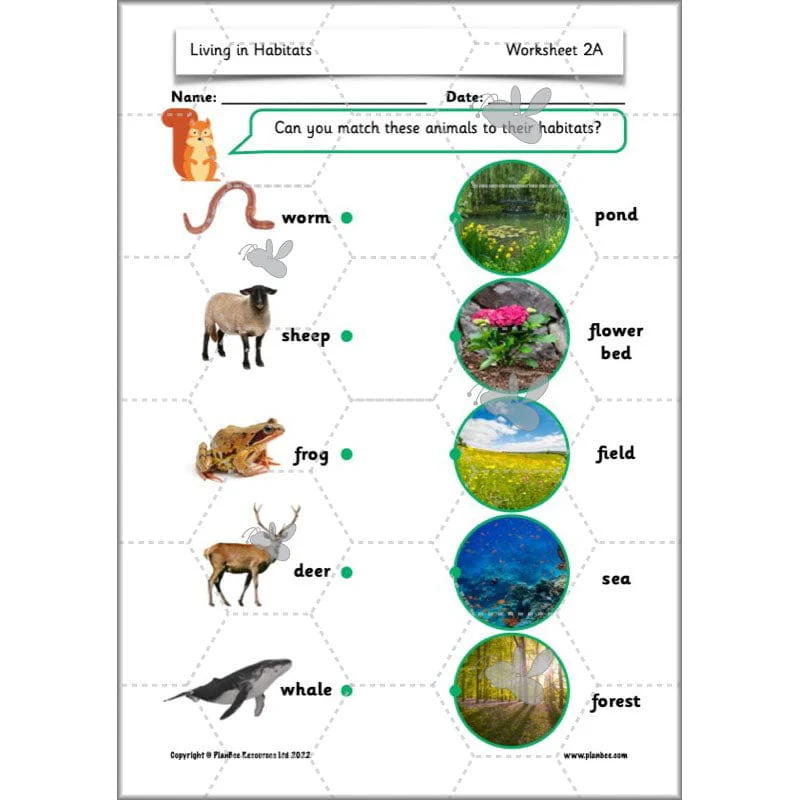 Living in Habitats - Image 32