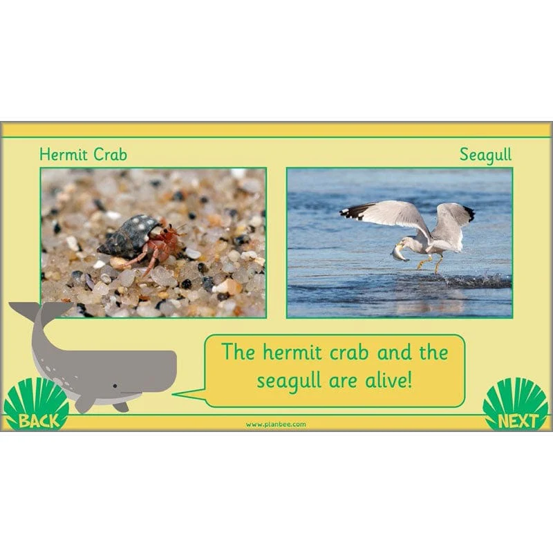 Living in Habitats - Image 39