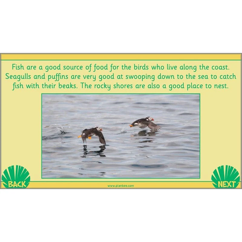 Living in Habitats - Image 5