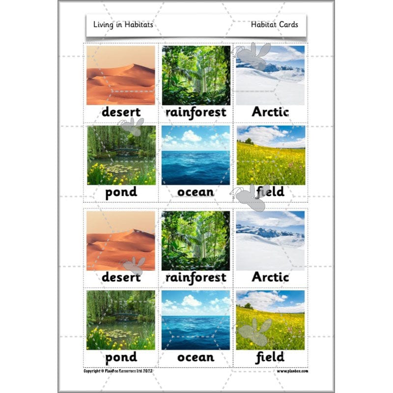Living in Habitats - Image 50