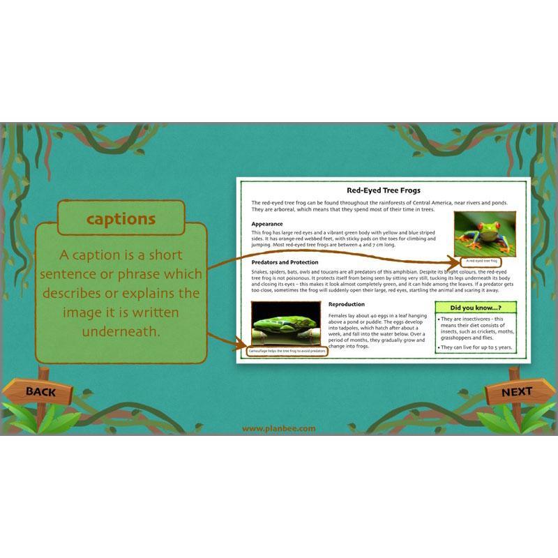 Lost in the Rainforest: Non-chronological Reports - Image 11