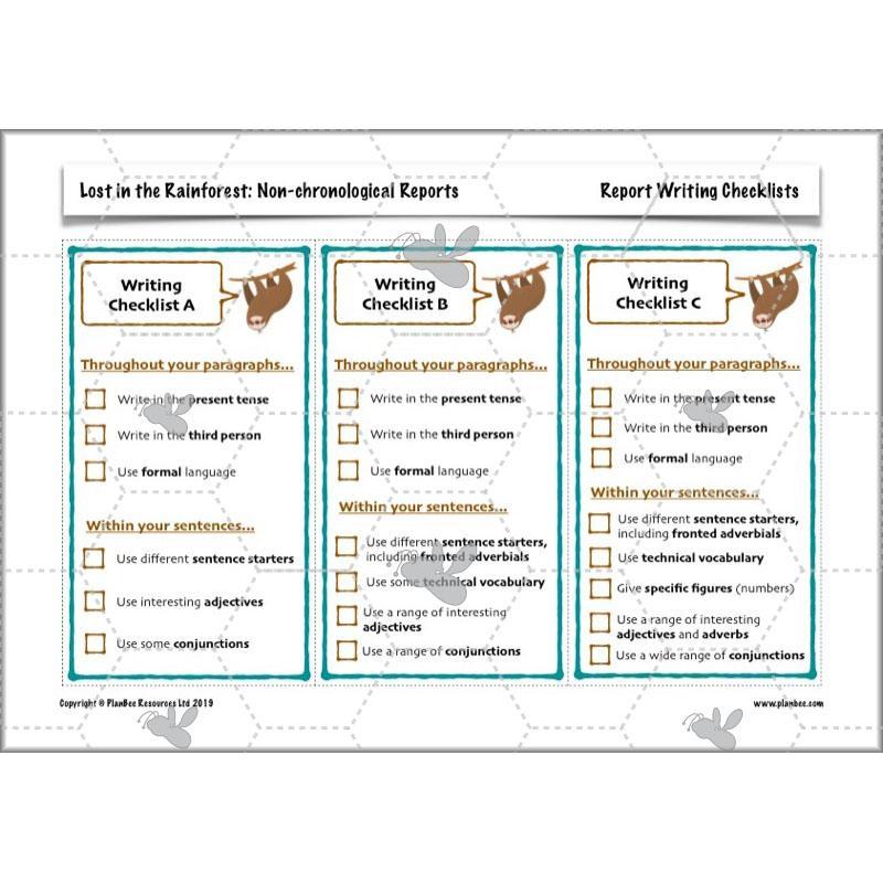 Lost in the Rainforest: Non-chronological Reports - Image 18
