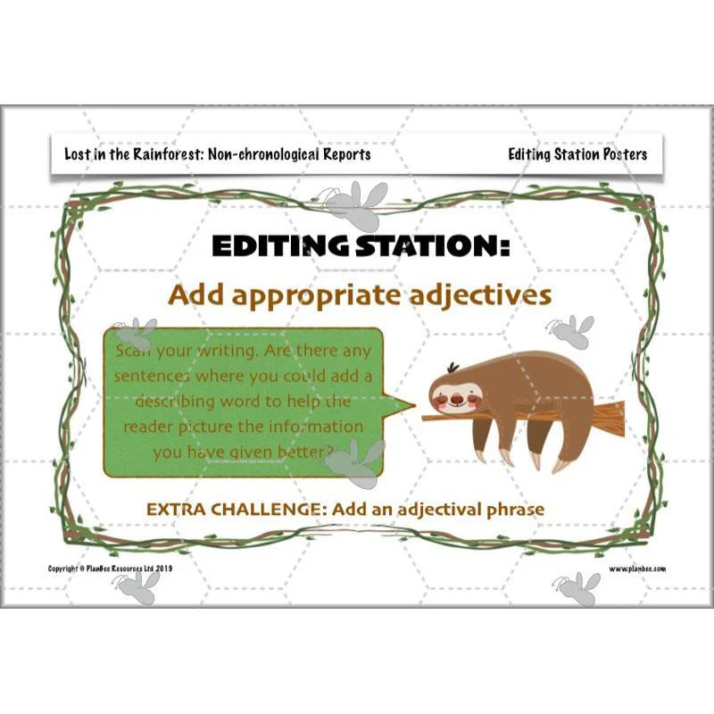Lost in the Rainforest: Non-chronological Reports - Image 19