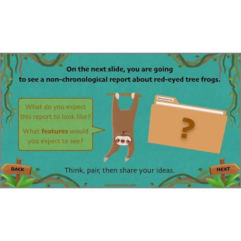 Lost in the Rainforest: Non-chronological Reports - Image 27