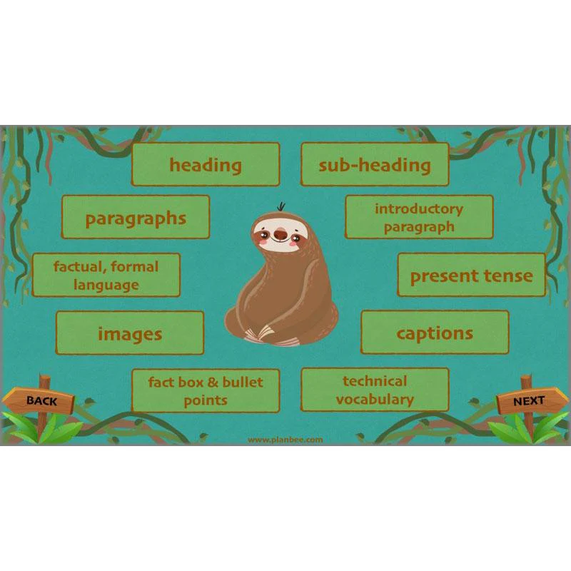 Lost in the Rainforest: Non-chronological Reports - Image 34