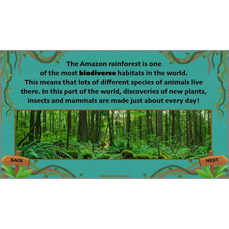 Lost in the Rainforest: Non-chronological Reports - Image 35