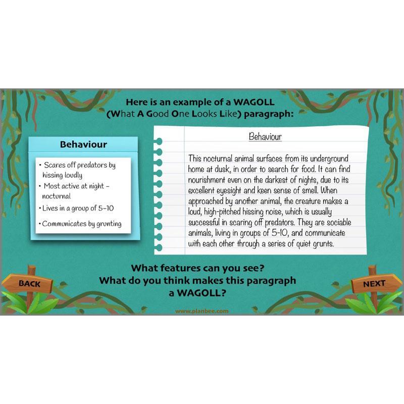 Lost in the Rainforest: Non-chronological Reports - Image 4
