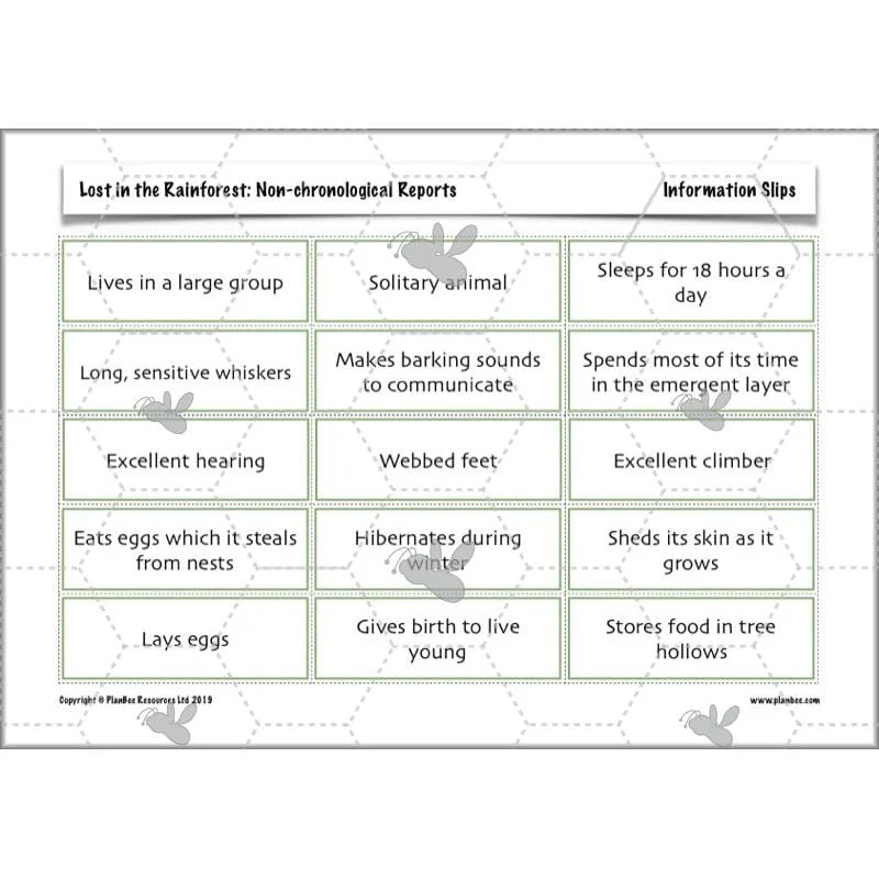 Lost in the Rainforest: Non-chronological Reports - Image 40