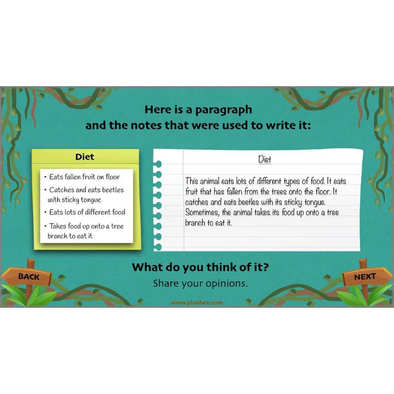 Lost in the Rainforest: Non-chronological Reports - Image 58
