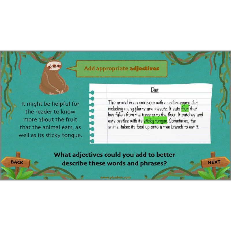 Lost in the Rainforest: Non-chronological Reports - Image 59