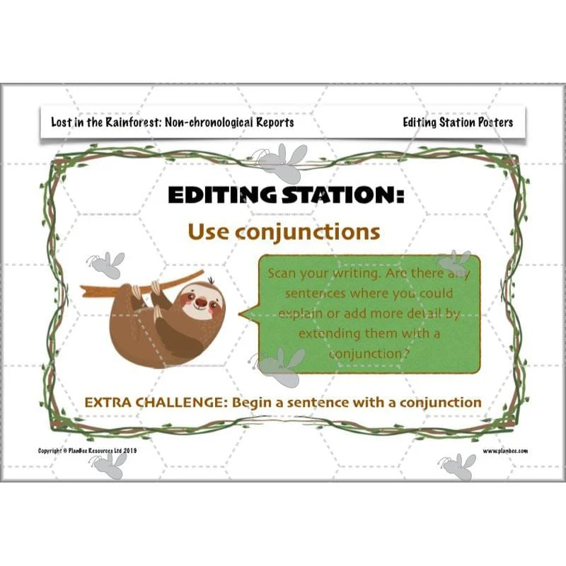 Lost in the Rainforest: Non-chronological Reports - Image 62