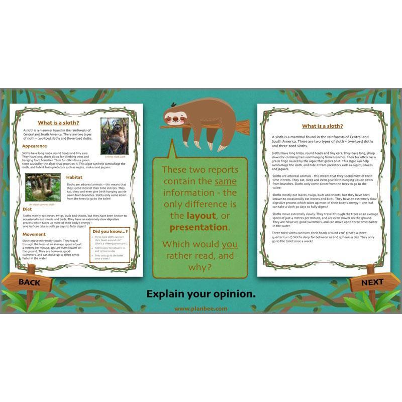 Lost in the Rainforest: Non-chronological Reports - Image 7