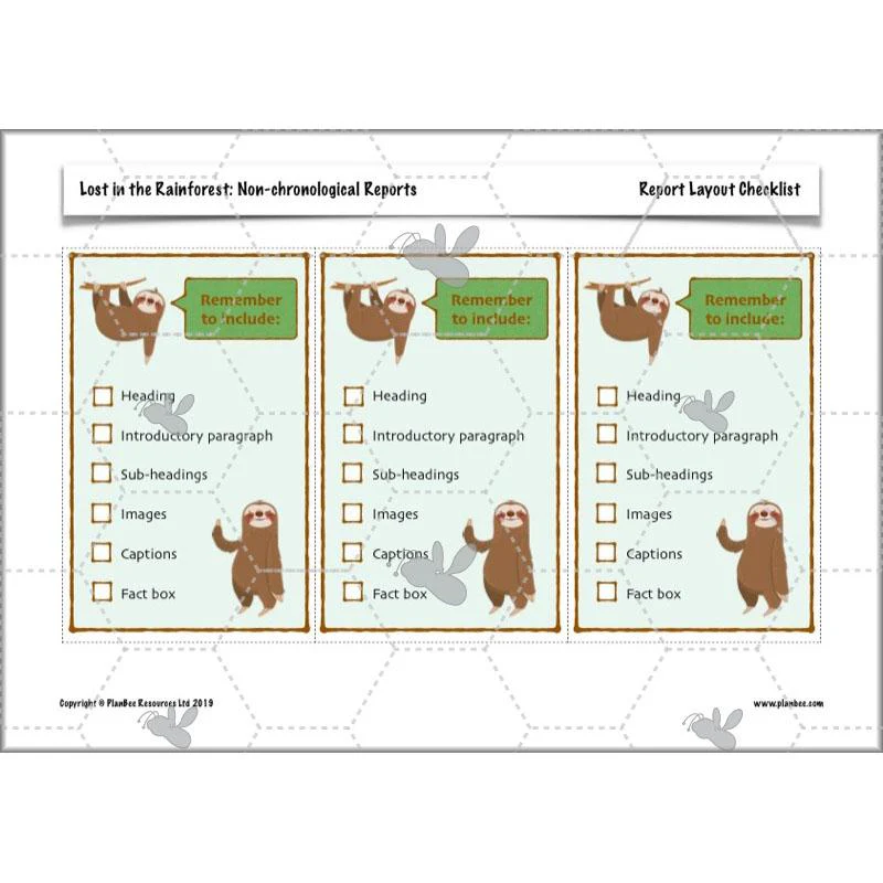Lost in the Rainforest: Non-chronological Reports - Image 70