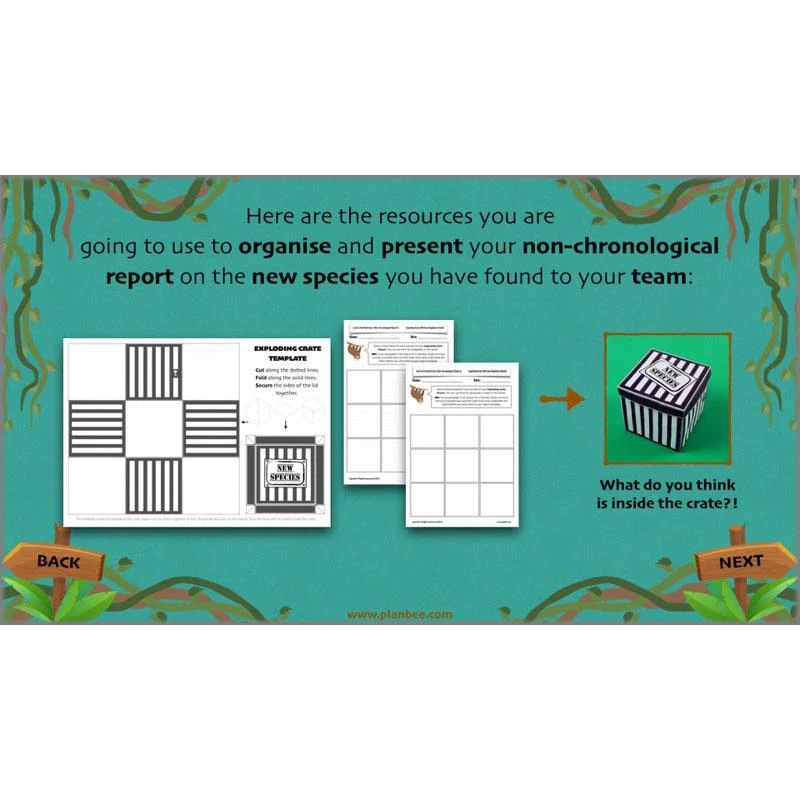 Lost in the Rainforest: Non-chronological Reports - Image 8